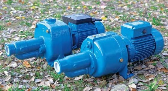 Acero inoxidable Jet Pump High Pressure de Mini Electric Water Pump Vortex